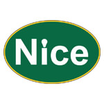 Nice Global Logo
