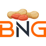 BNG International Logo