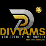 Divyams Seamless Logo