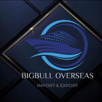 BIGBULL OVERSEAS Logo