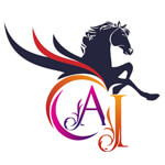 Amir International Logo