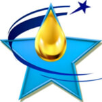 BLUE STAR ENTERPRISES Logo