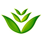 Satguru Masale Industries Logo