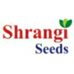 Shrangi onion seeds