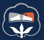 SutiBrand (Tanya handloom)