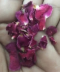 RTVR DRIED PANNEER ROSE PETALS Logo