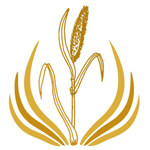 M/S Ancient Golden Mill Logo