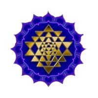 Shree Rajarajeshwari Job Consultancy