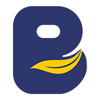 BAGSECO Logo