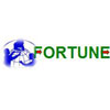Fortune Auto Inc.
