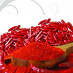 Shandaar Spices Logo
