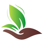 Amrutha Pure Organics Logo