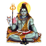 pandit mahendra astrologer
