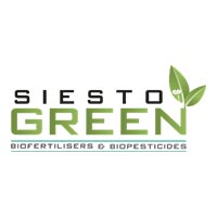 SIESTO SYSTEMS PRIVATE LIMITED