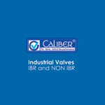 caliber valves pvt ltd Logo
