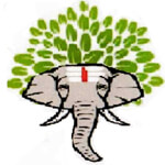 Aadhinamazhaiyaar Exports and Imports Logo