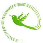 Nufleva International LLP Logo