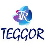 Teggor INC Logo
