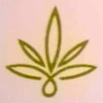 Bloom and Blossom Biotech Logo