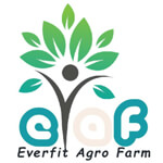Everfit Agro Farm