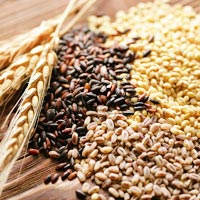 Food Grains, Cereals & Flour