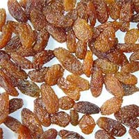 Brown Raisins In Kolkata