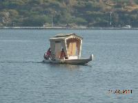 Fibreglass Boats