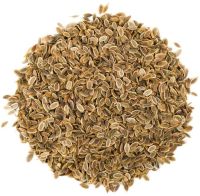 Dill Seeds