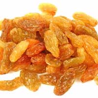 Golden Raisins In Bijapur