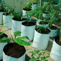 Grow Bags In Indore