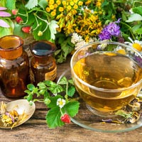 Herbal Remedies In Panchkula