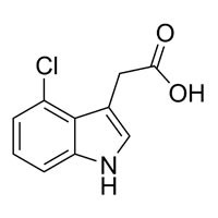 Indoleacetic Acid