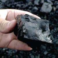 Indonesian Coal In Kutch