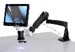 Video Microscopes In Ambala