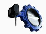 Lug Butterfly Valve In Pune