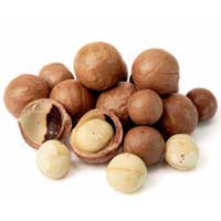 Macadamia Nut In Kolkata