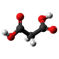 Malonic Acid