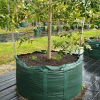 Planter Bags