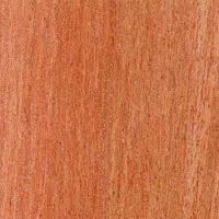 Red Meranti Wood In Karnal