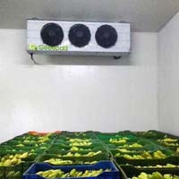 Ripening Chamber In Greater Noida