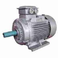 Squirrel Cage Induction Motor In Faridabad