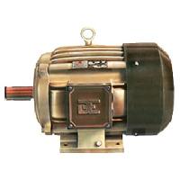 Three Phase Squirrel Cage Motors