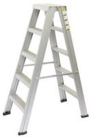 Telescopic Ladder