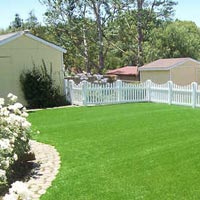 Synthetic Grass Lawn