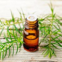 Tea Tree Oil In Mumbai