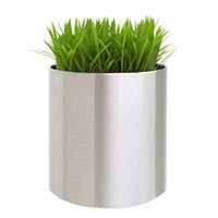 Stainless Steel Planter In Moradabad