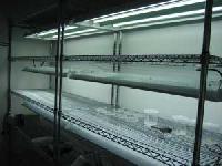 Tissue Culture Rack In Ahmedabad