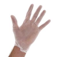 Vinyl Gloves In Hisar