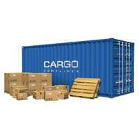 Cargo Survey Services