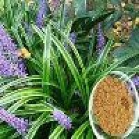 Herbal & Ayurvedic Extract
